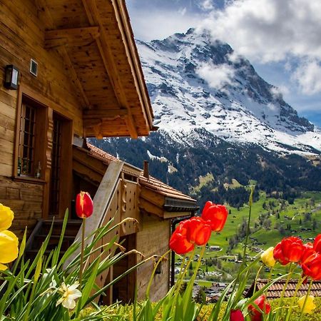 Chalet Caramelle Grindelwald Exteriér fotografie