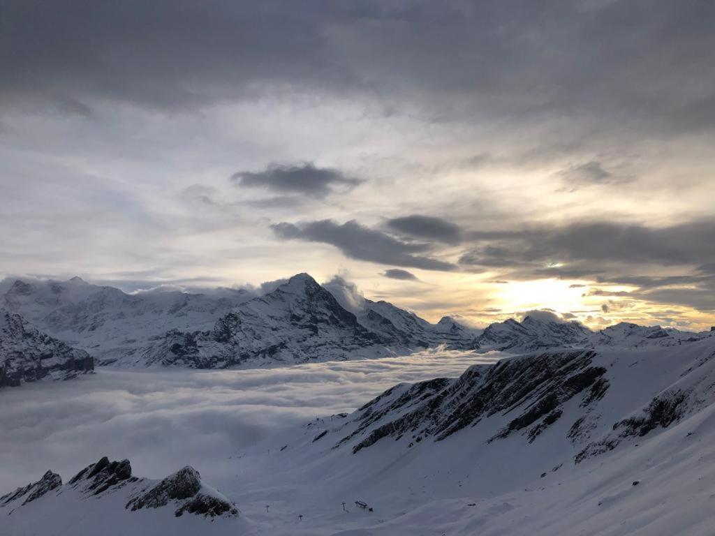 Chalet Caramelle Grindelwald Exteriér fotografie