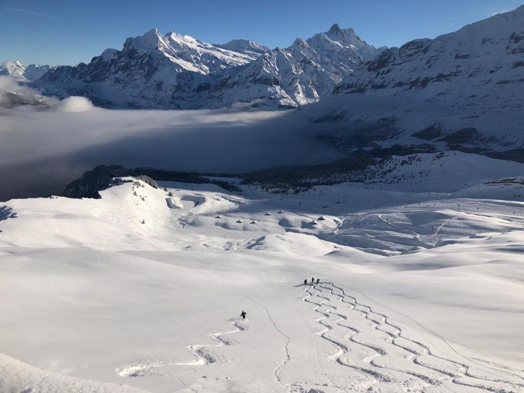 Chalet Caramelle Grindelwald Exteriér fotografie
