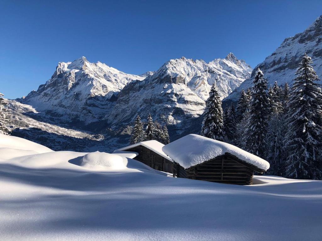Chalet Caramelle Grindelwald Exteriér fotografie