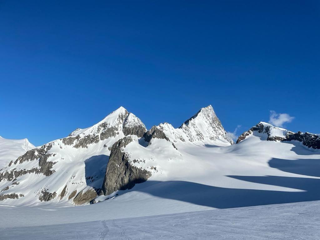 Chalet Caramelle Grindelwald Exteriér fotografie
