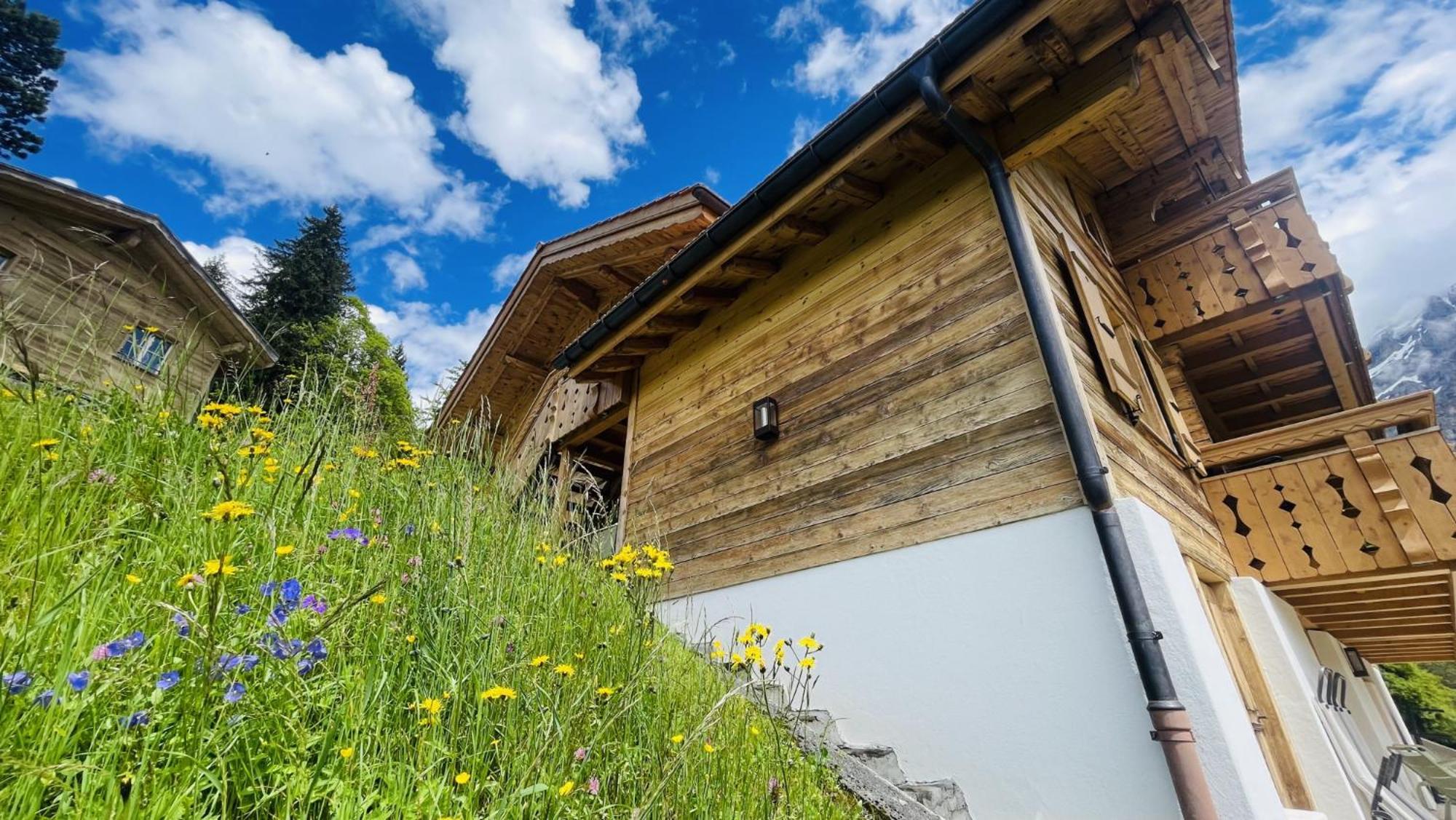 Chalet Caramelle Grindelwald Exteriér fotografie